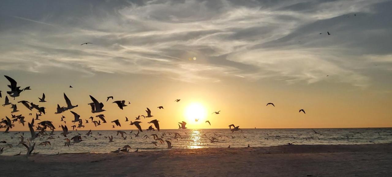 Villa Sunset Vistas 206S St. Pete Beach Exterior foto